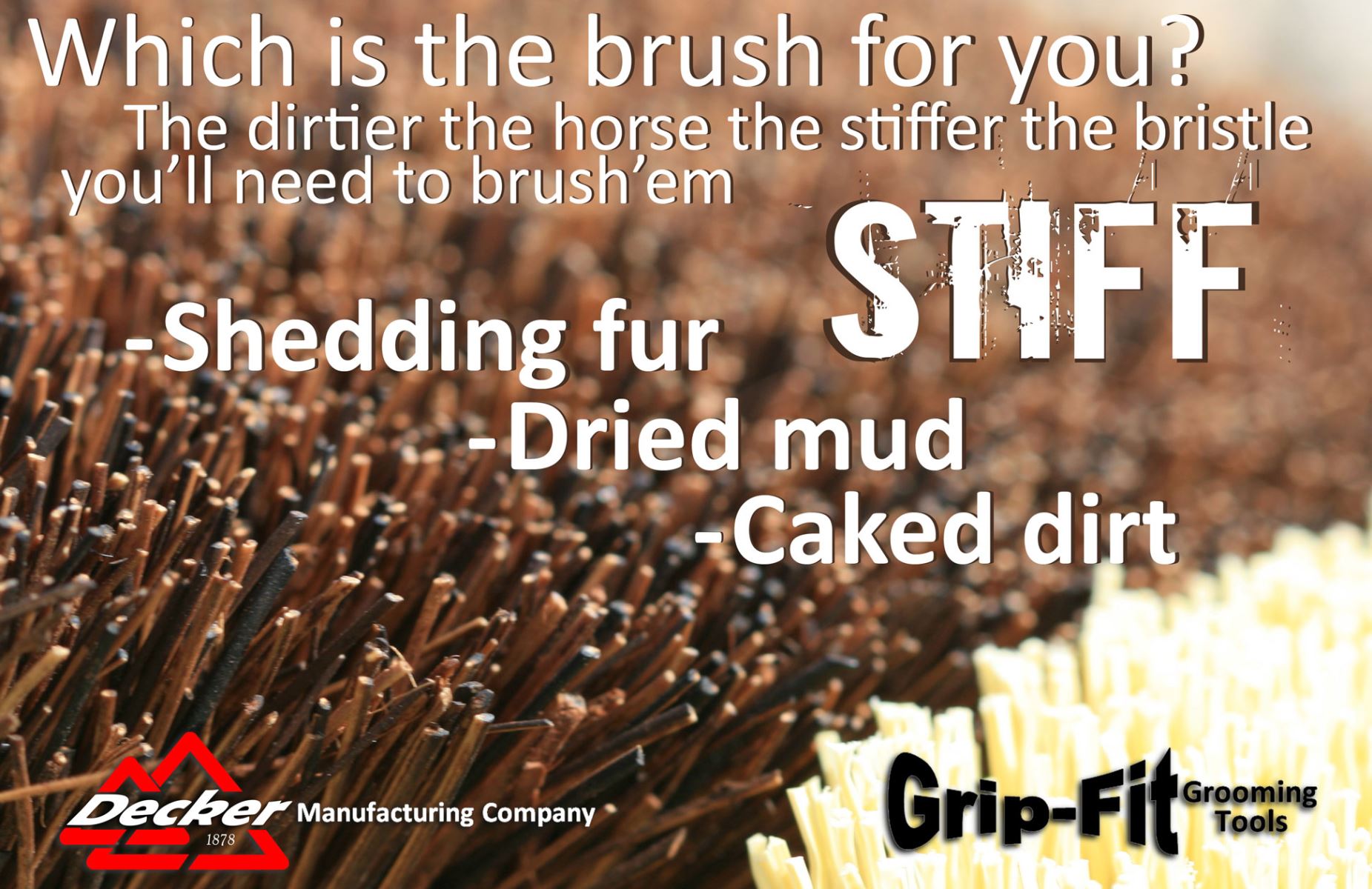 Stiff Brushes