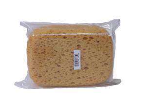 16DBS Body Sponge