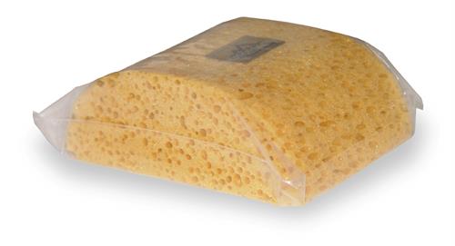 19DHS Humpback Sponge
